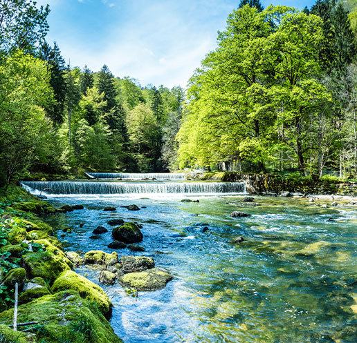 環境保全に向けた取組み